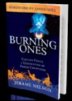 Burning Ones: Calling Forth a Generation of Dread Champions (E-book PDF Download) by Jerame Nelson